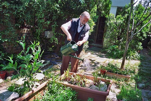 huerto jardín