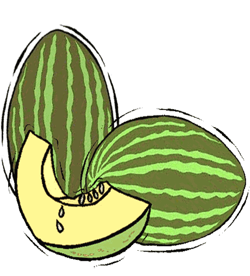 Melón